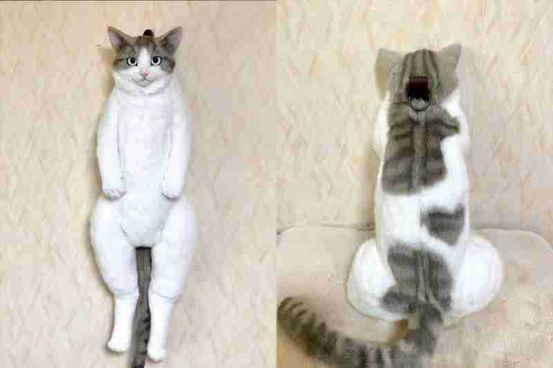 Simulation Cat Backpack Doll Children'S Kitten Model Fake Simulation Animal Doll Plush Toy