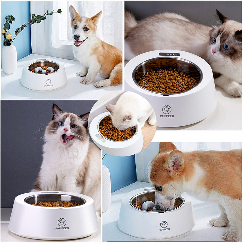 Smart Slow Feeder Bowl - Weighted Pet Food Dish for Dogs & Cats