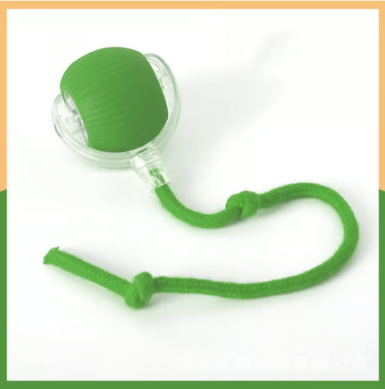 Interactive Cat Toys Ball