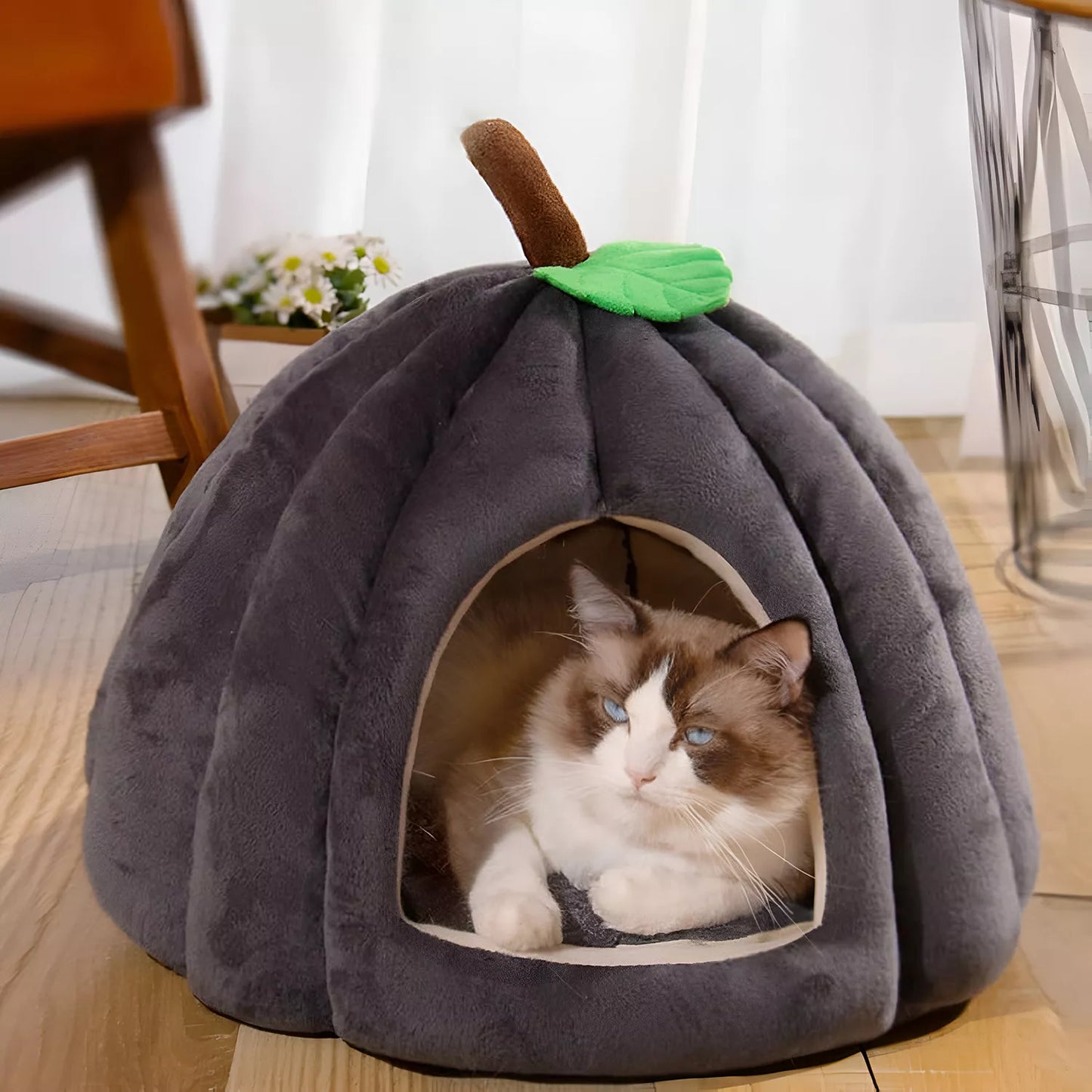 Cozy Pumpkin Pet Bed for Cats