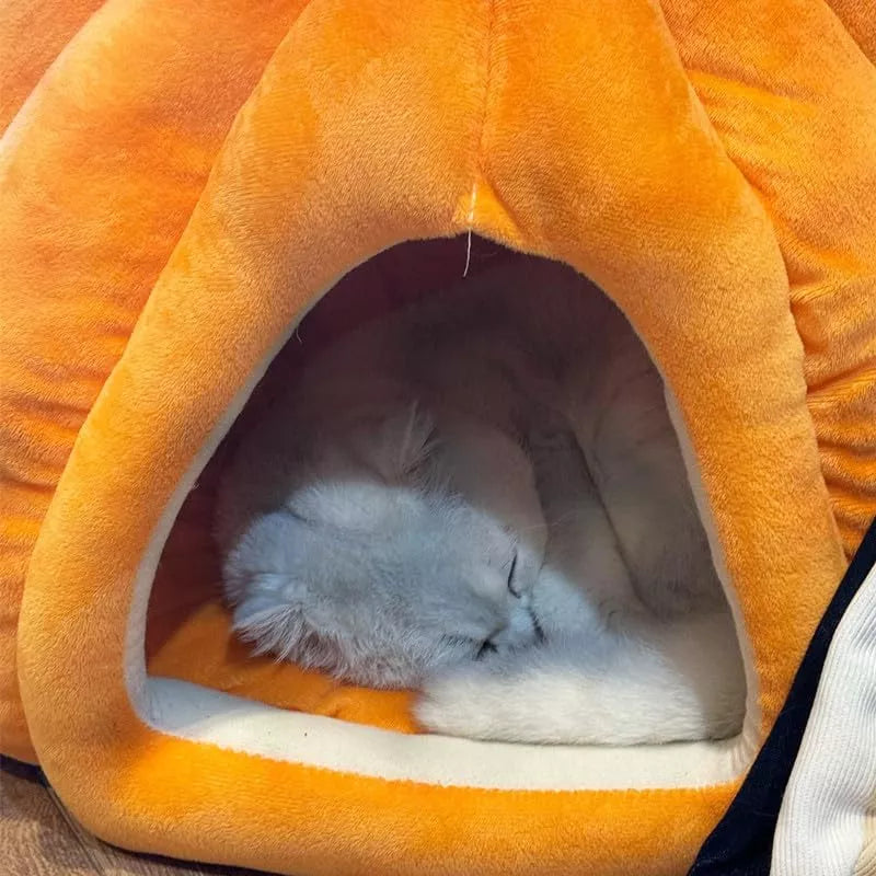 Cozy Pumpkin Pet Bed for Cats