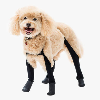 Premium Dog Leggings for Boots | Deluxe Anti-Slip Protective Winter Leg Covers