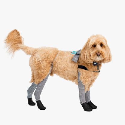 Premium Dog Leggings for Boots | Deluxe Anti-Slip Protective Winter Leg Covers
